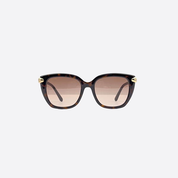 Bulgari Snakehead Diamond Square Acetate Sunglasses BV8207-B-F Tortoiseshell